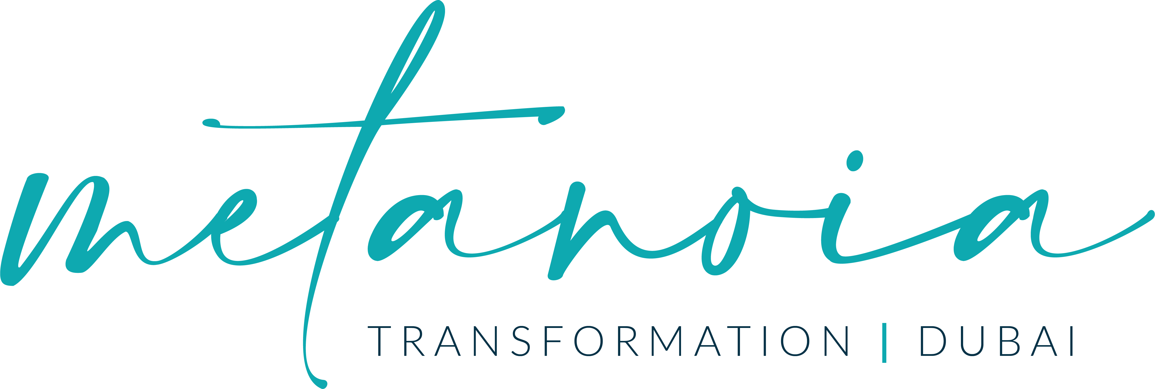 Metanoia Transformation